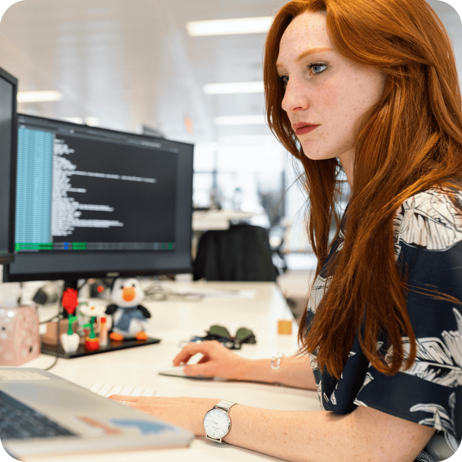 Software Development